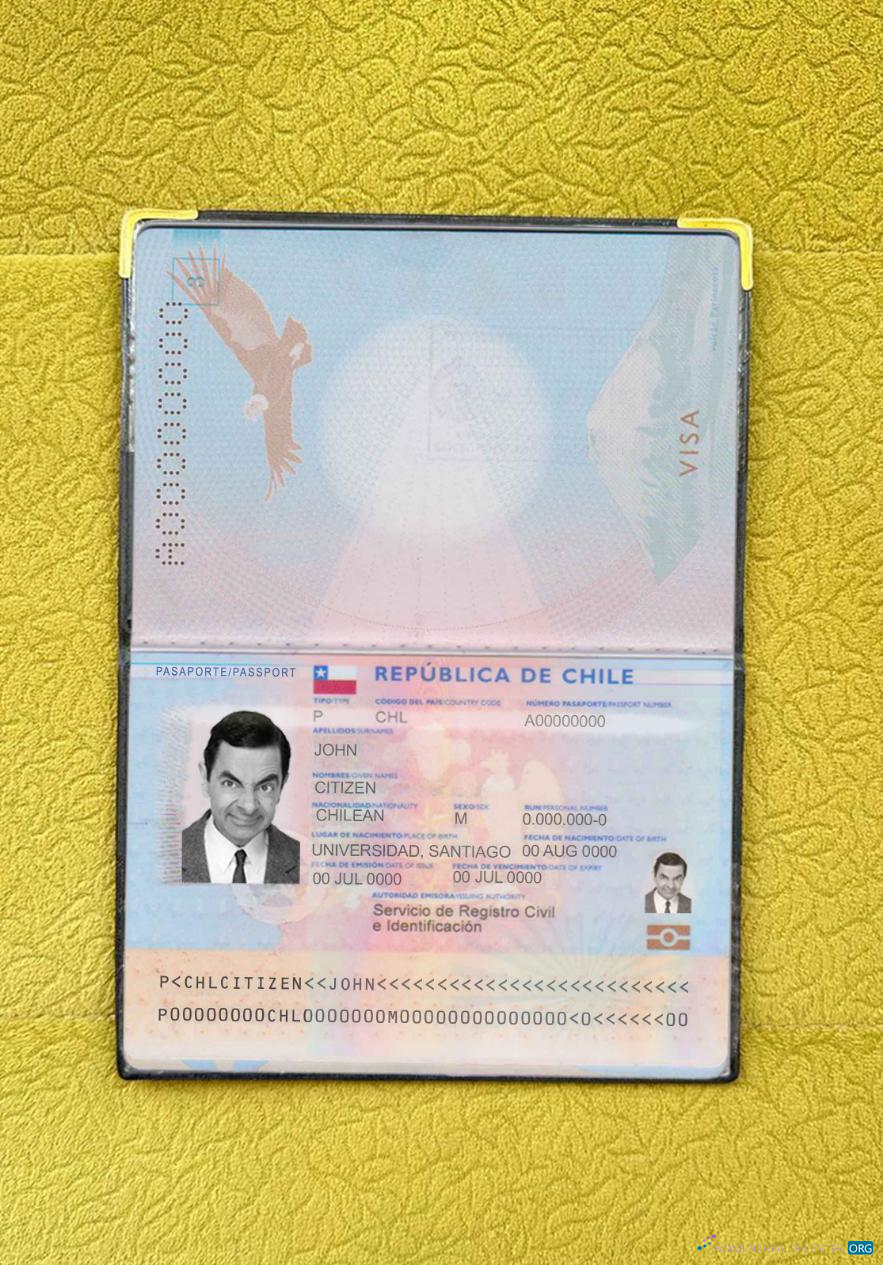 Download Chile passport photo look Photoshop template